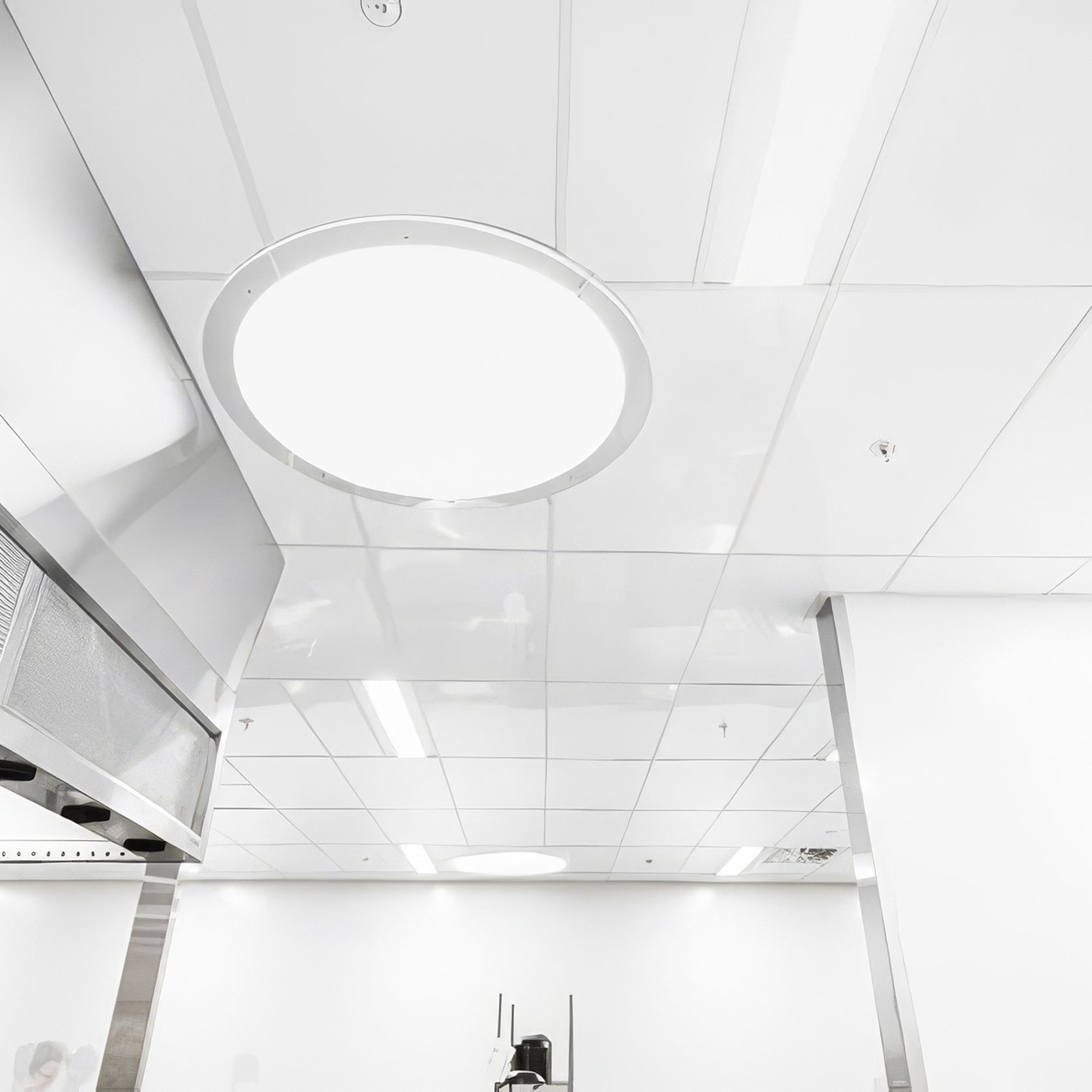 Fenta Hygiene Ceiling Tile gallery detail image