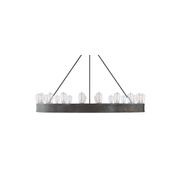 Roark 20″ Modular Ring Chandelier – Iron gallery detail image