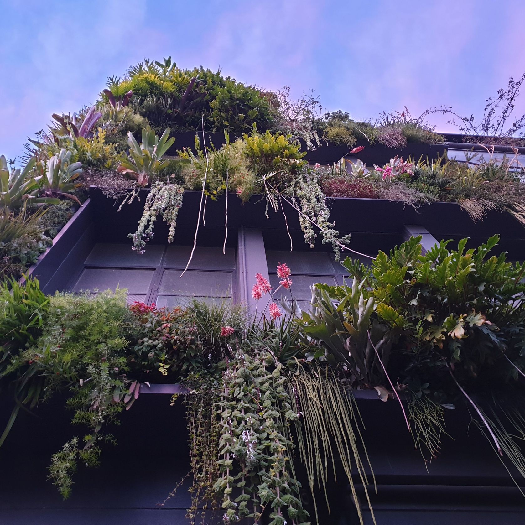 SRS Vertical Garden gallery detail image