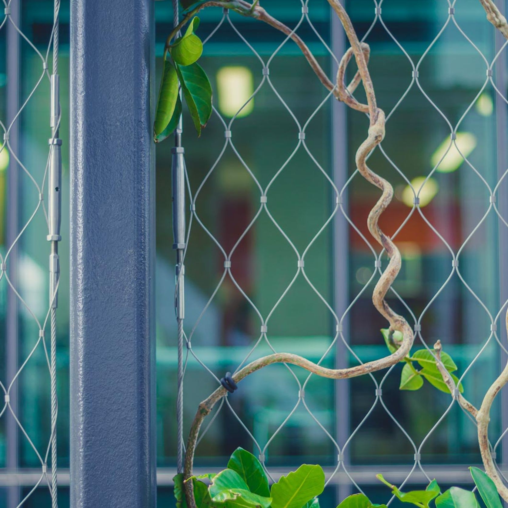 SRS Green Facades | Screens gallery detail image