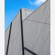 Cemintel® Barestone gallery detail image