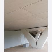 Cemintel® Barestone gallery detail image