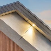 Cemintel® Barestone gallery detail image