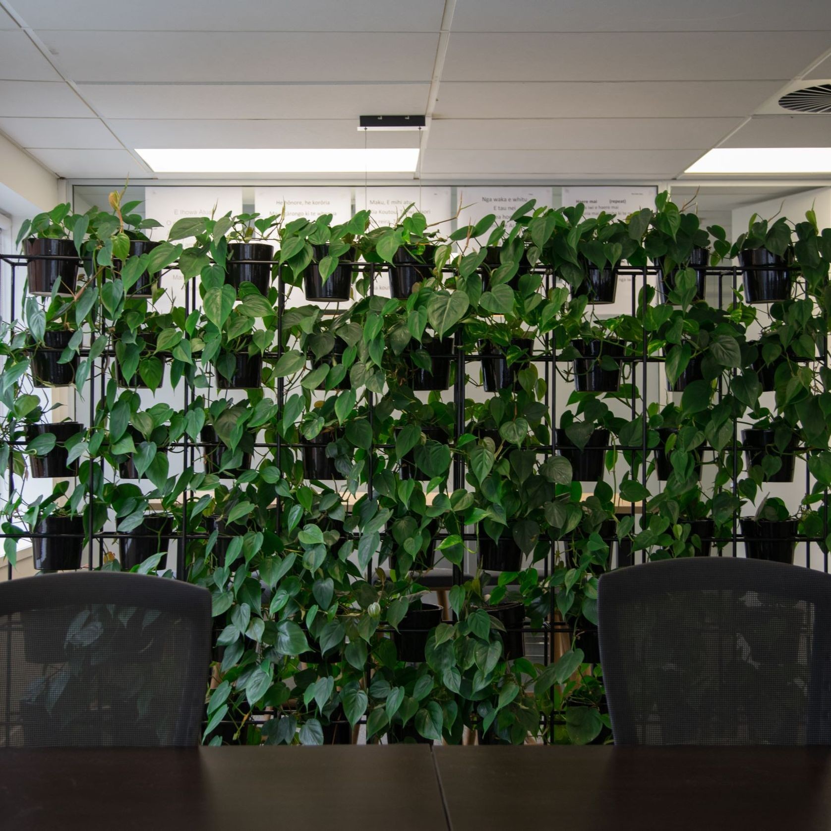 Vertical Live Plant Installations | Hire Plants gallery detail image
