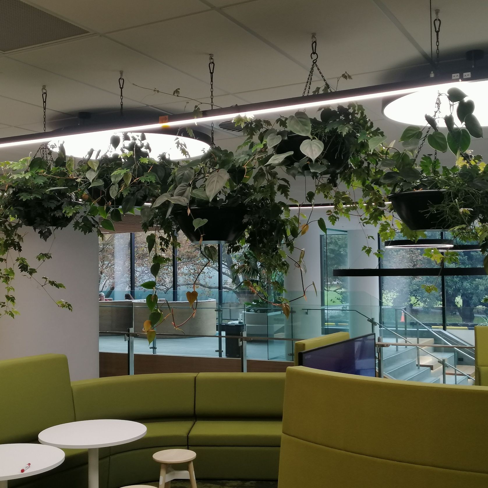 Vertical Live Plant Installations | Hire Plants gallery detail image