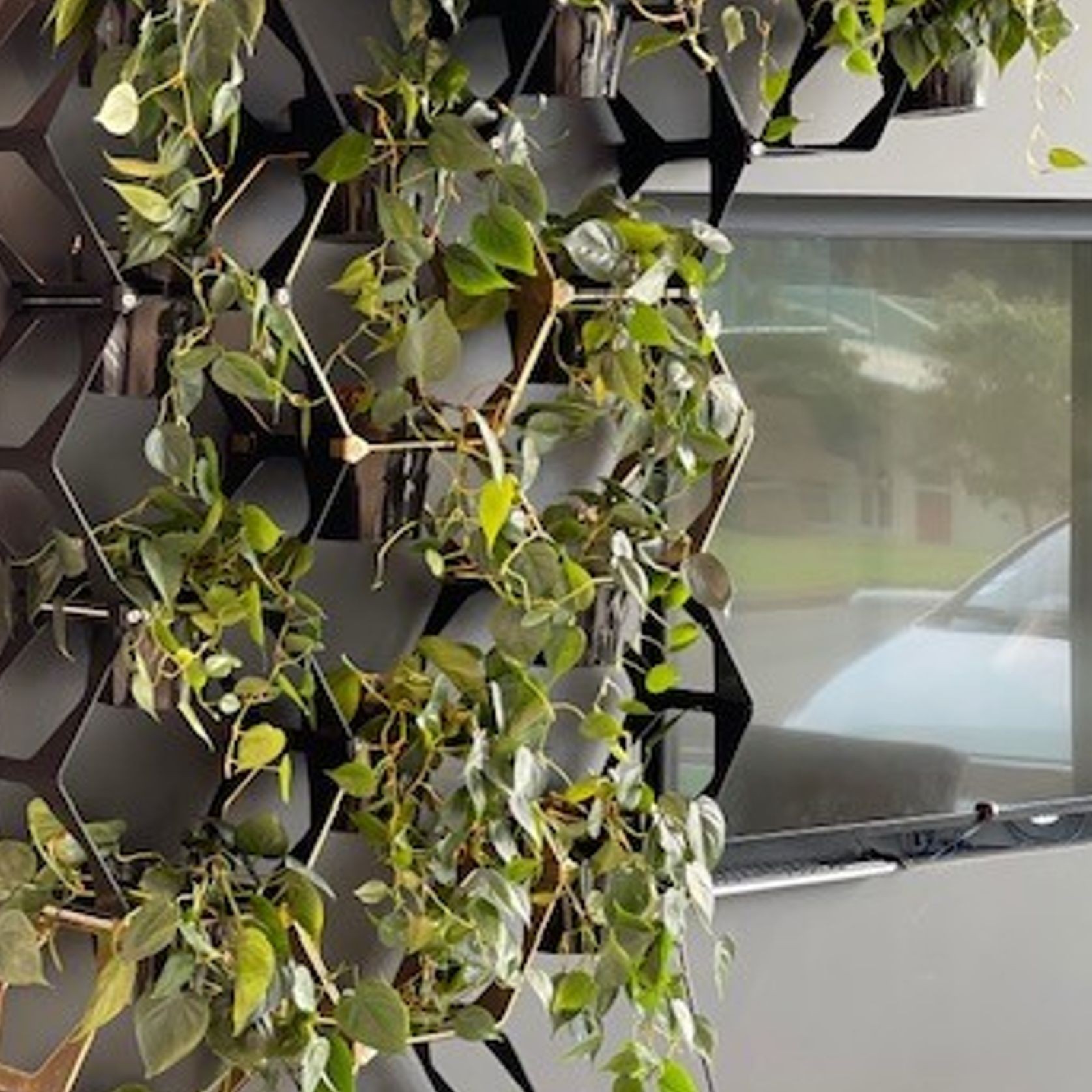 Vertical Live Plant Installations | Hire Plants gallery detail image