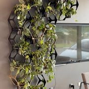 Vertical Live Plant Installations | Hire Plants gallery detail image