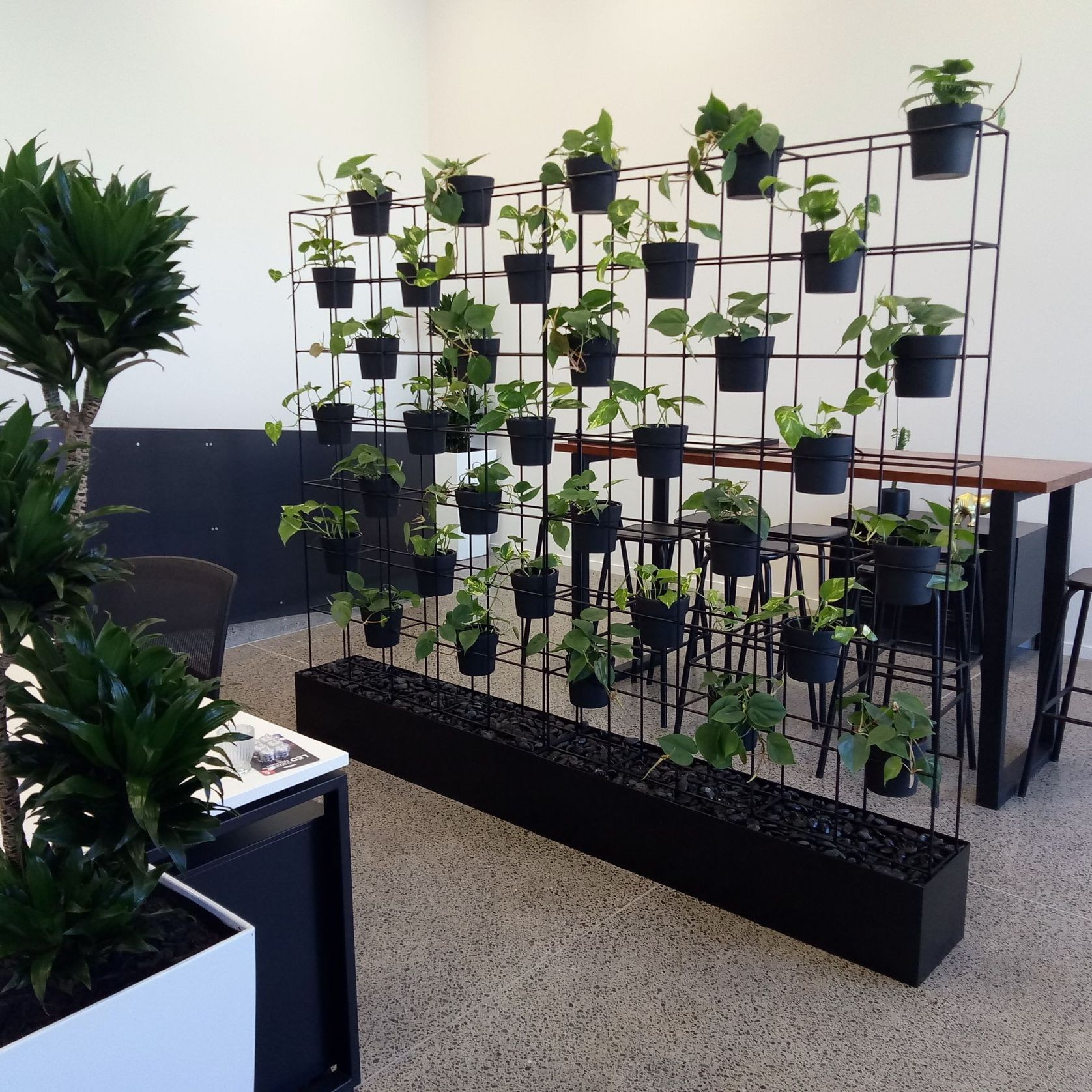 Vertical Live Plant Installations | Hire Plants gallery detail image