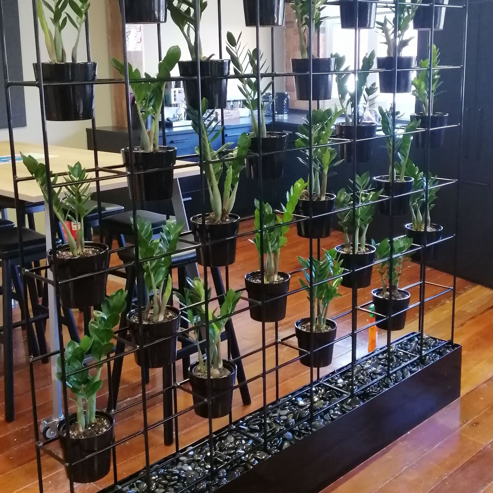 Vertical Live Plant Installations | Hire Plants gallery detail image