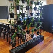 Vertical Live Plant Installations | Hire Plants gallery detail image