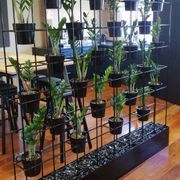 Vertical Live Plant Installations | Hire Plants gallery detail image