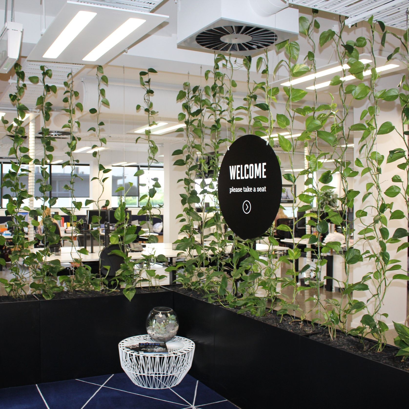 Vertical Live Plant Installations | Hire Plants gallery detail image