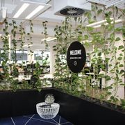 Vertical Live Plant Installations | Hire Plants gallery detail image