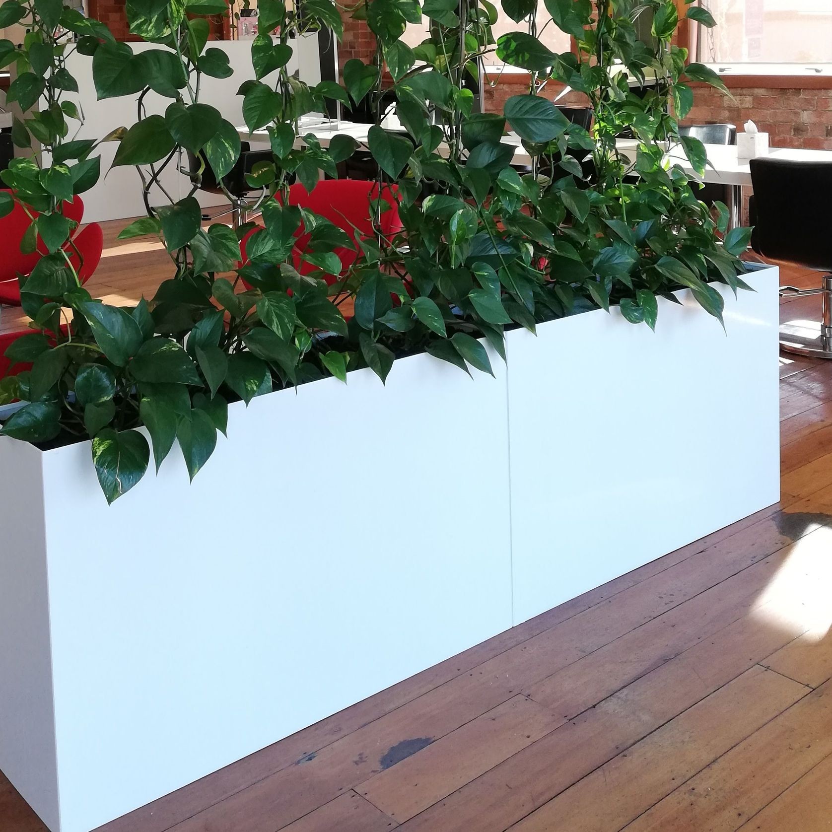 Vertical Live Plant Installations | Hire Plants gallery detail image