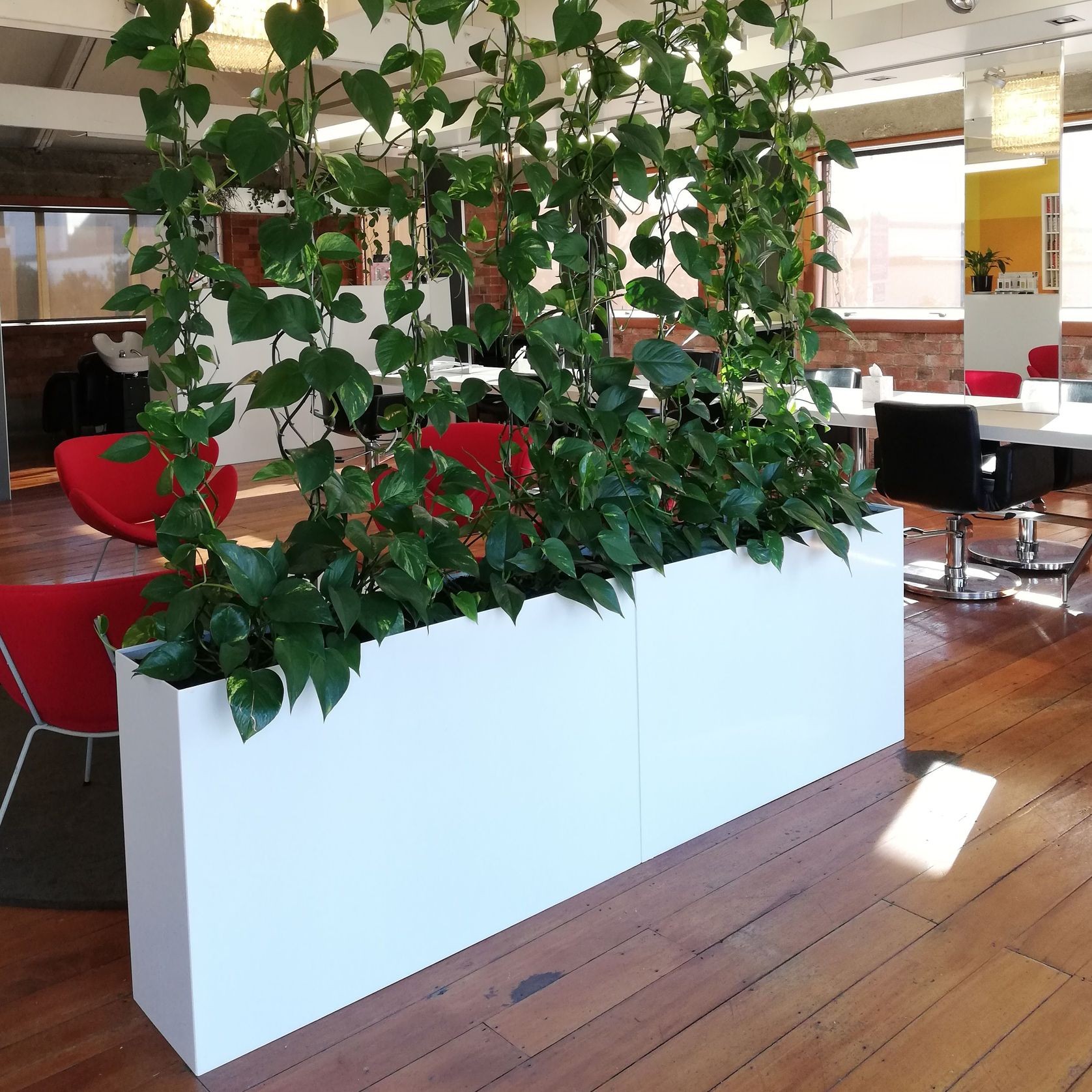 Vertical Live Plant Installations | Hire Plants gallery detail image