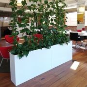 Vertical Live Plant Installations | Hire Plants gallery detail image