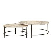 Atlas Twin Nest Coffee Table gallery detail image