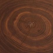 Coeur De Bois Cocktail Table gallery detail image