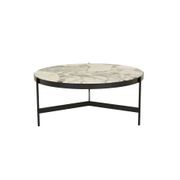 Venus Coffee Table gallery detail image