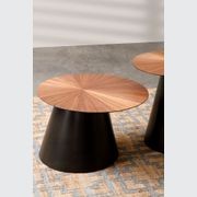 TRIBOA Demir Coffee Table gallery detail image