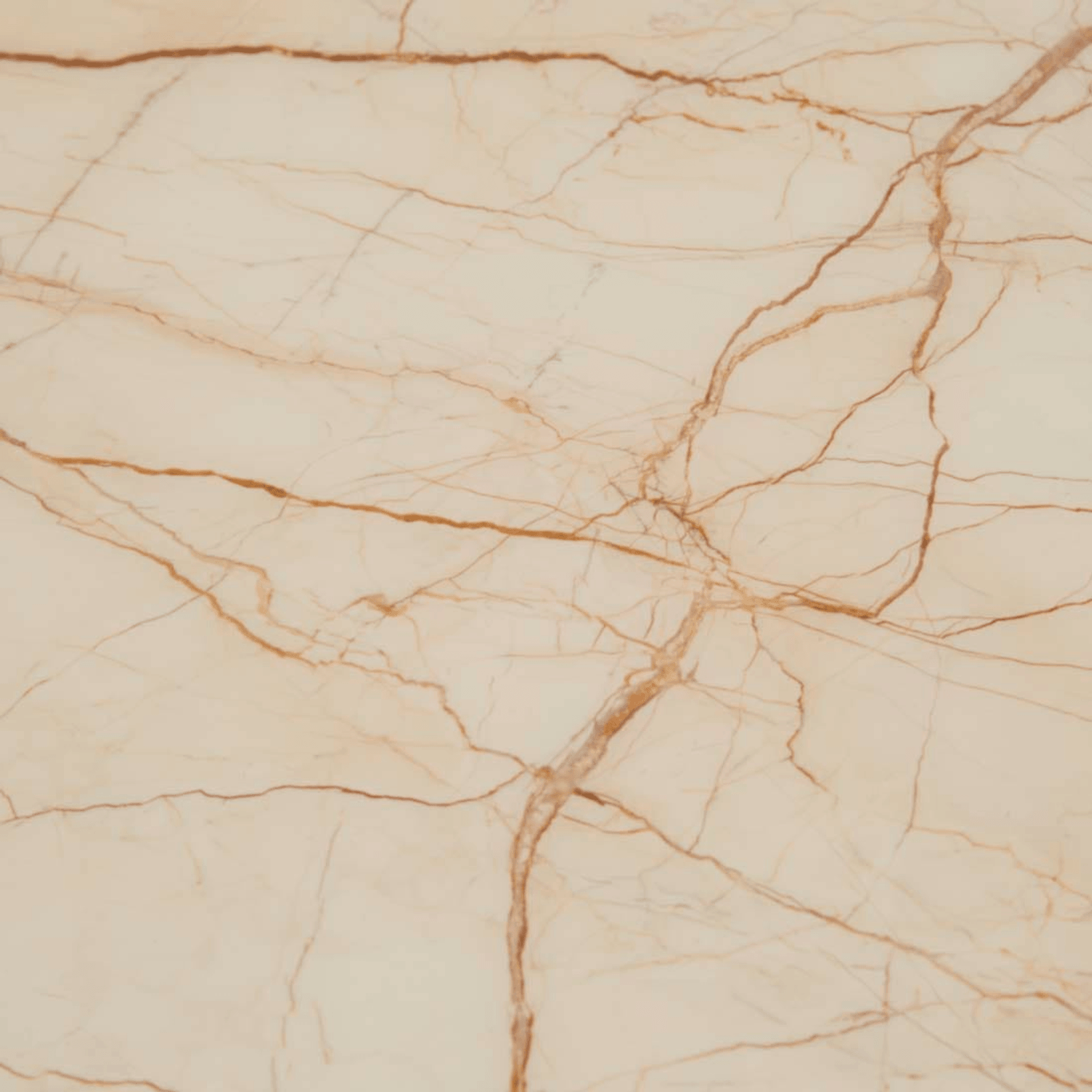Atlas Twin Nest Coffee Table gallery detail image