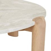 Willa Marble Coffee Table gallery detail image