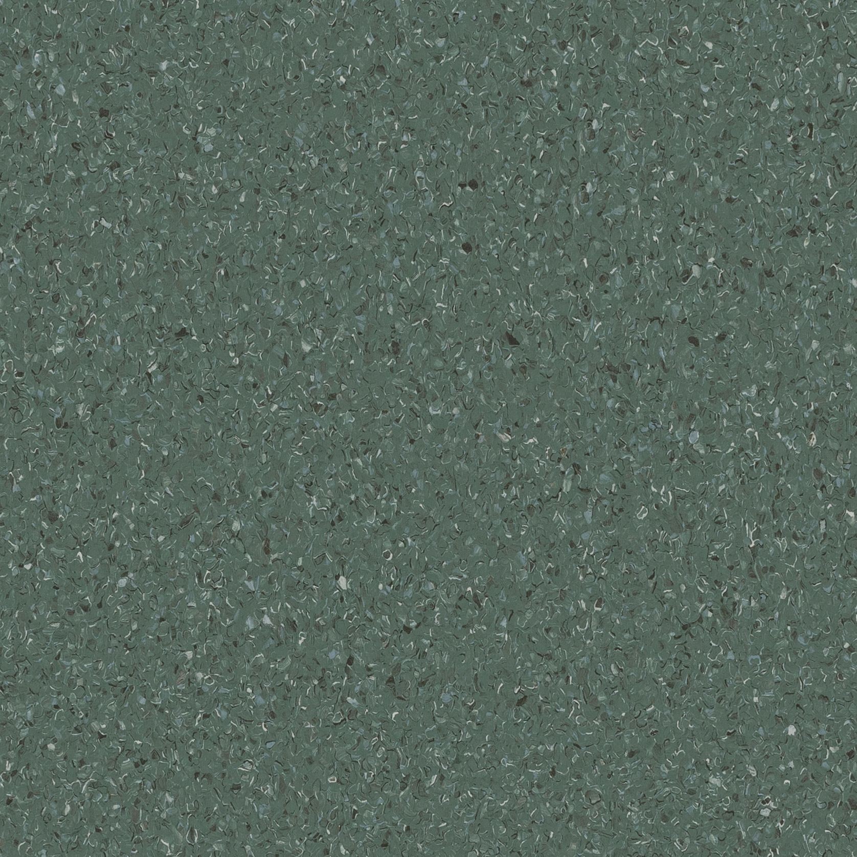 Accolade Plus | Moreton Fig gallery detail image