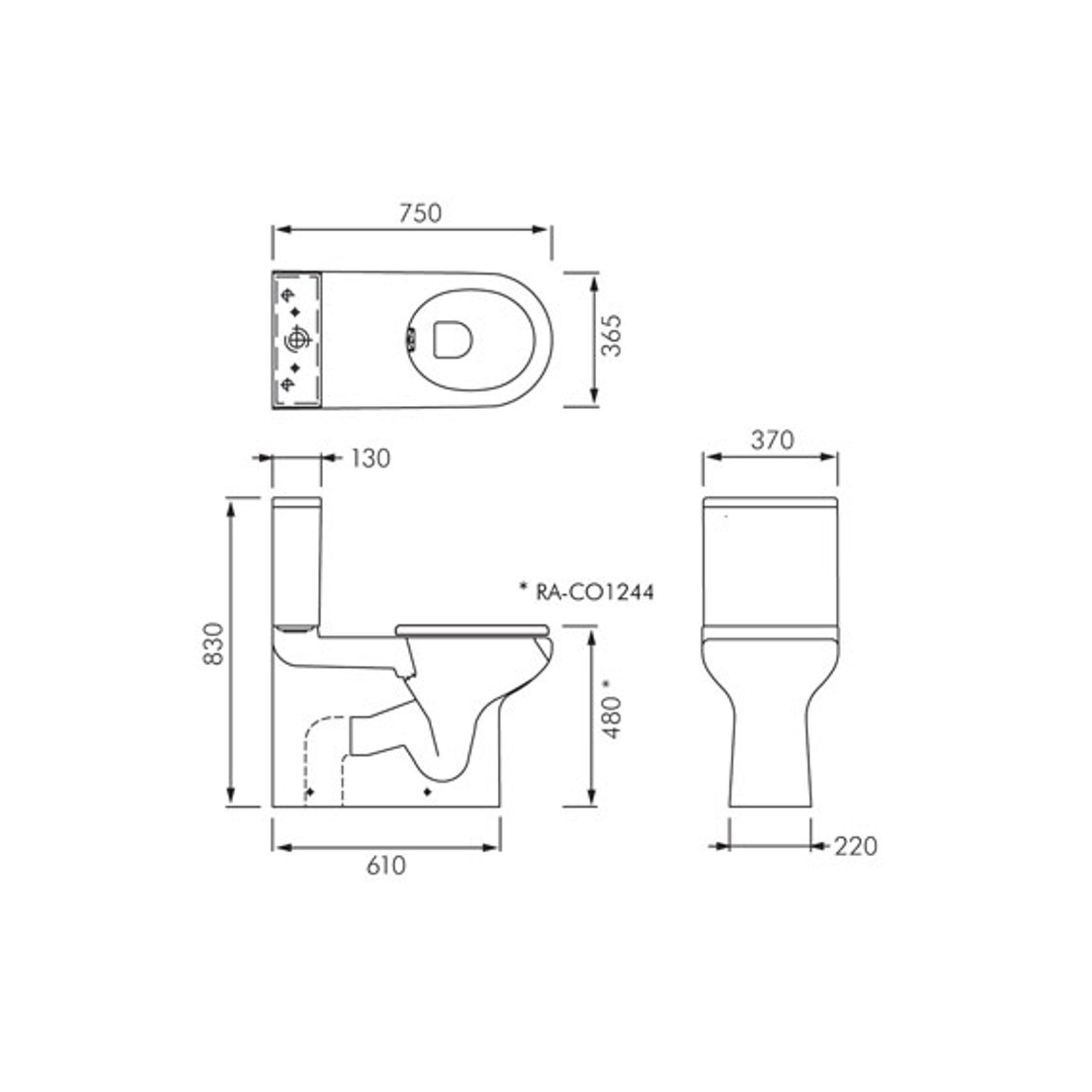 RAK Compact Accessible Wall Faced Toilet Suite gallery detail image