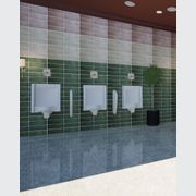 Wall Mounted and Floorstanding Urinals gallery detail image