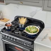 Falcon Classic FX 90cm Dual Fuel Range Cooker gallery detail image