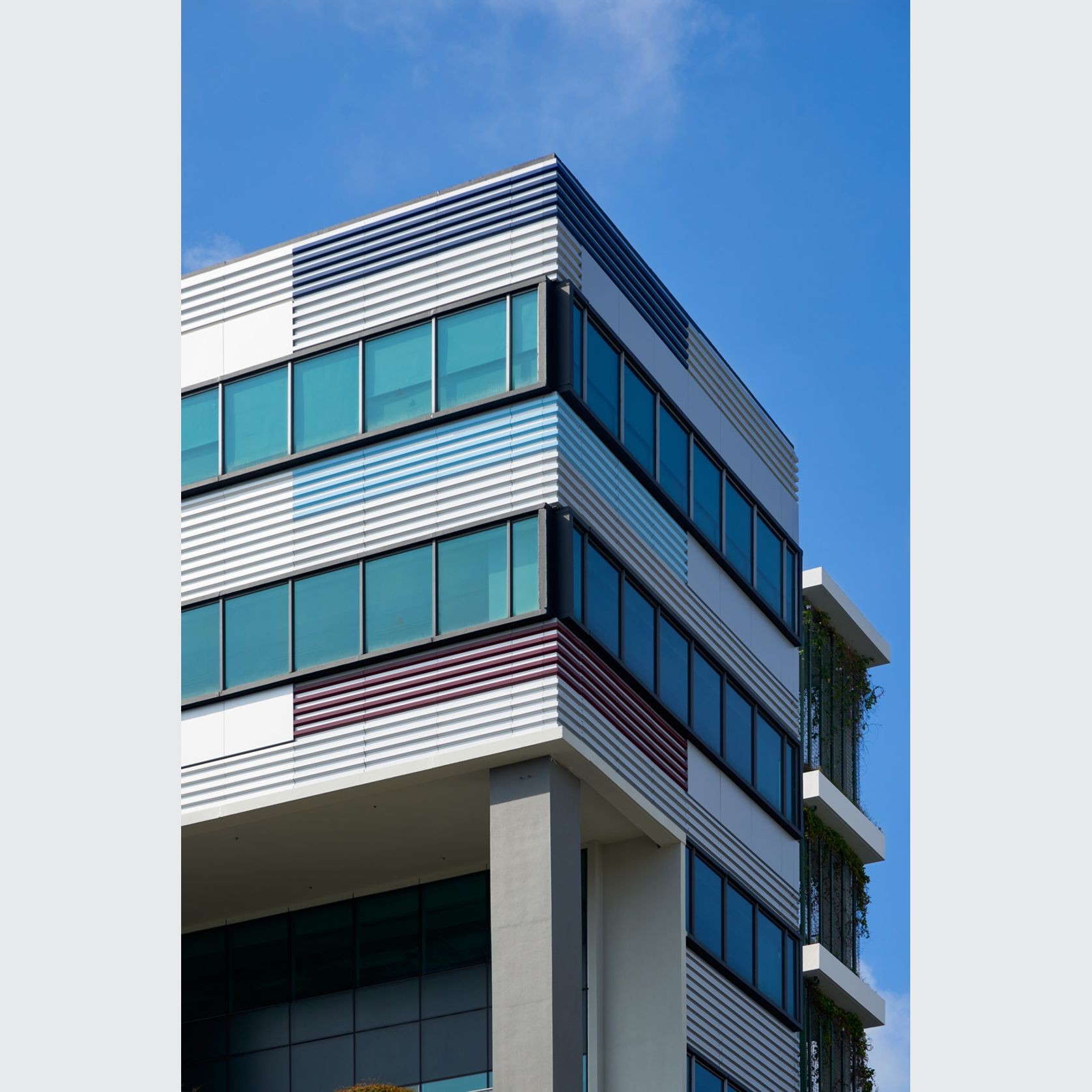 Alucodual gallery detail image