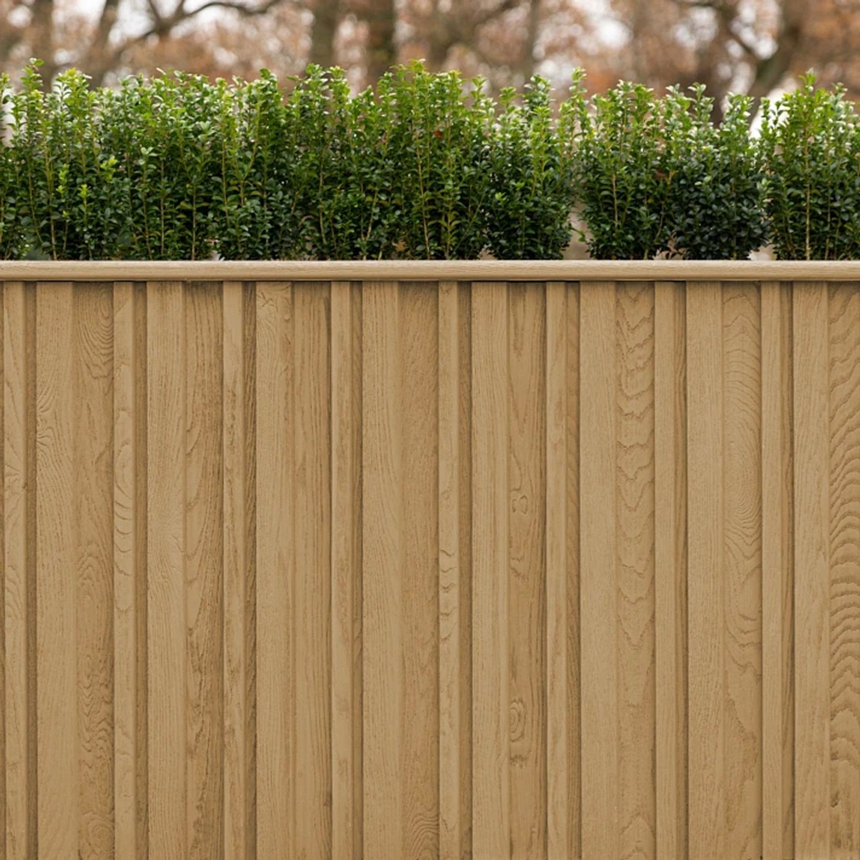 Millboard Envello Board & Batten Cladding  | Golden Oak gallery detail image