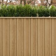 Millboard Envello Board & Batten Cladding  | Golden Oak gallery detail image