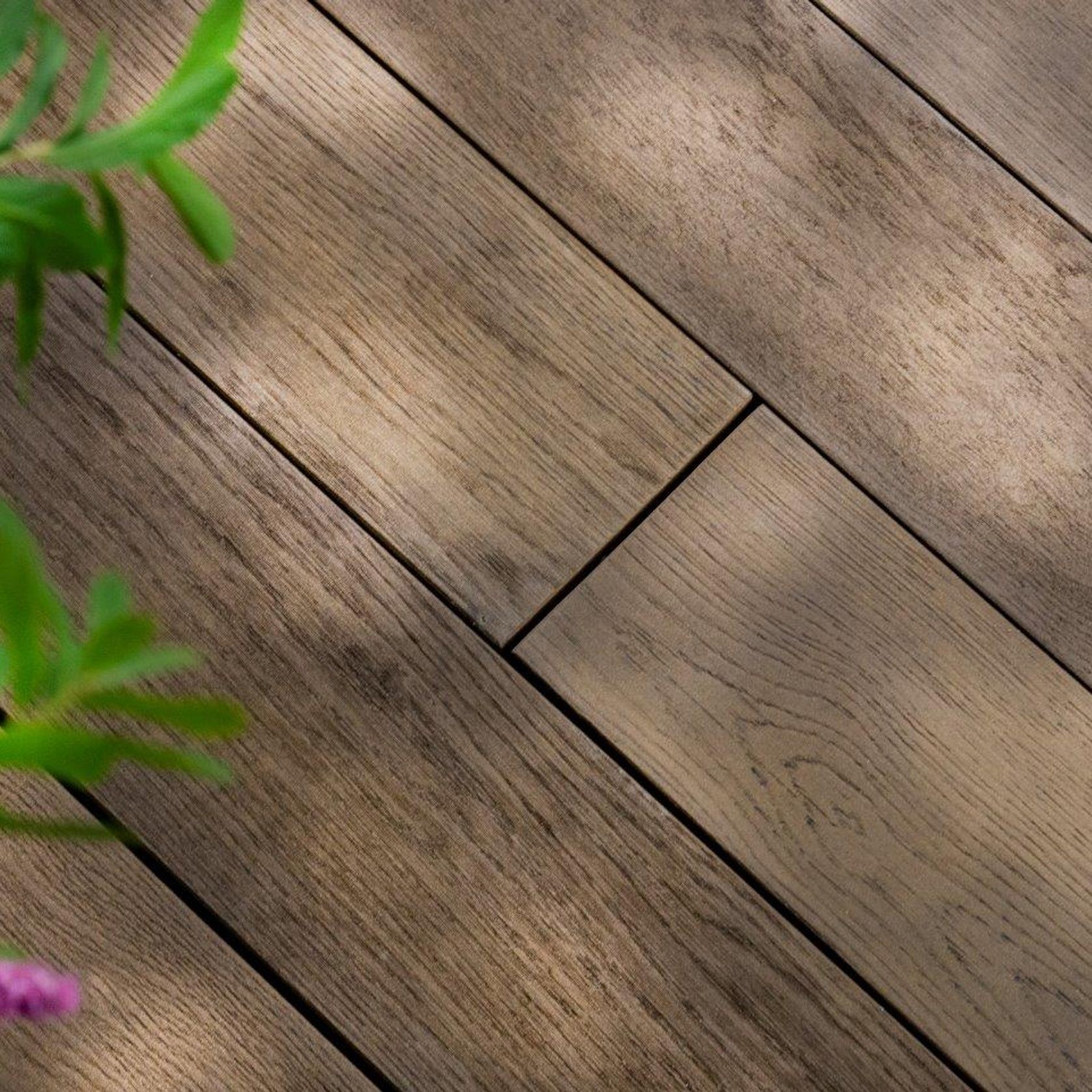 Antique Oak | Enhanced Grain Decking gallery detail image
