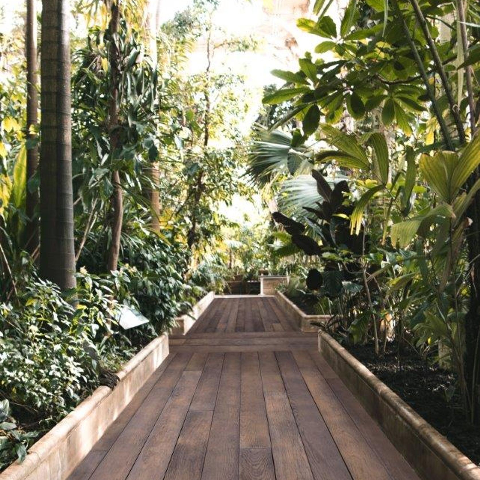 Antique Oak | Enhanced Grain Decking gallery detail image