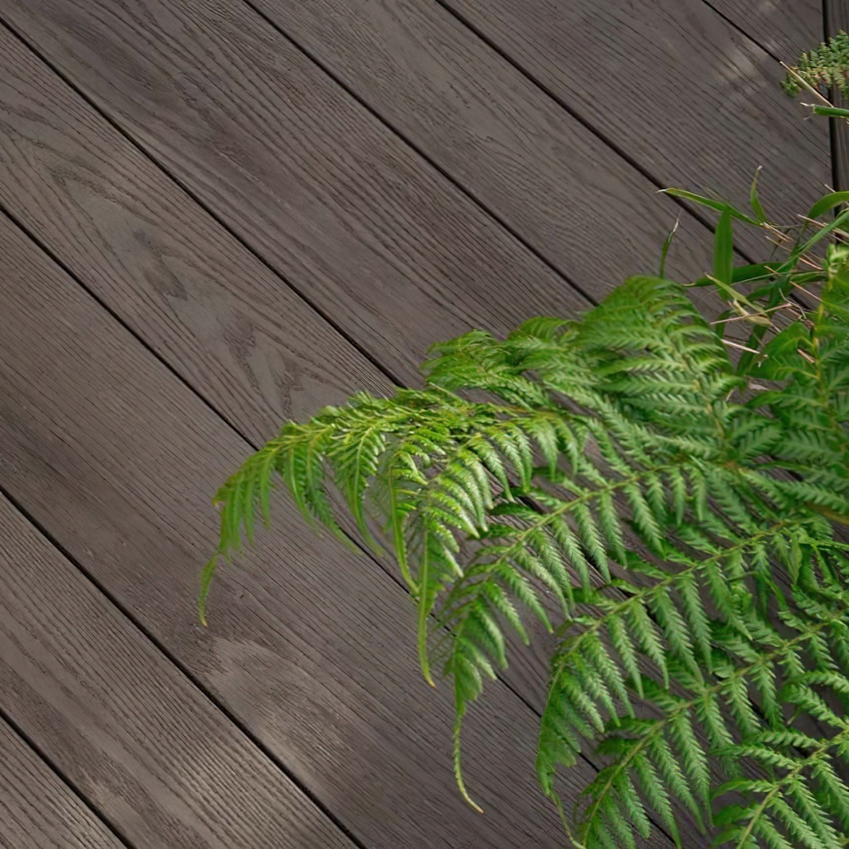 Millboard Ebony Grey Decking gallery detail image