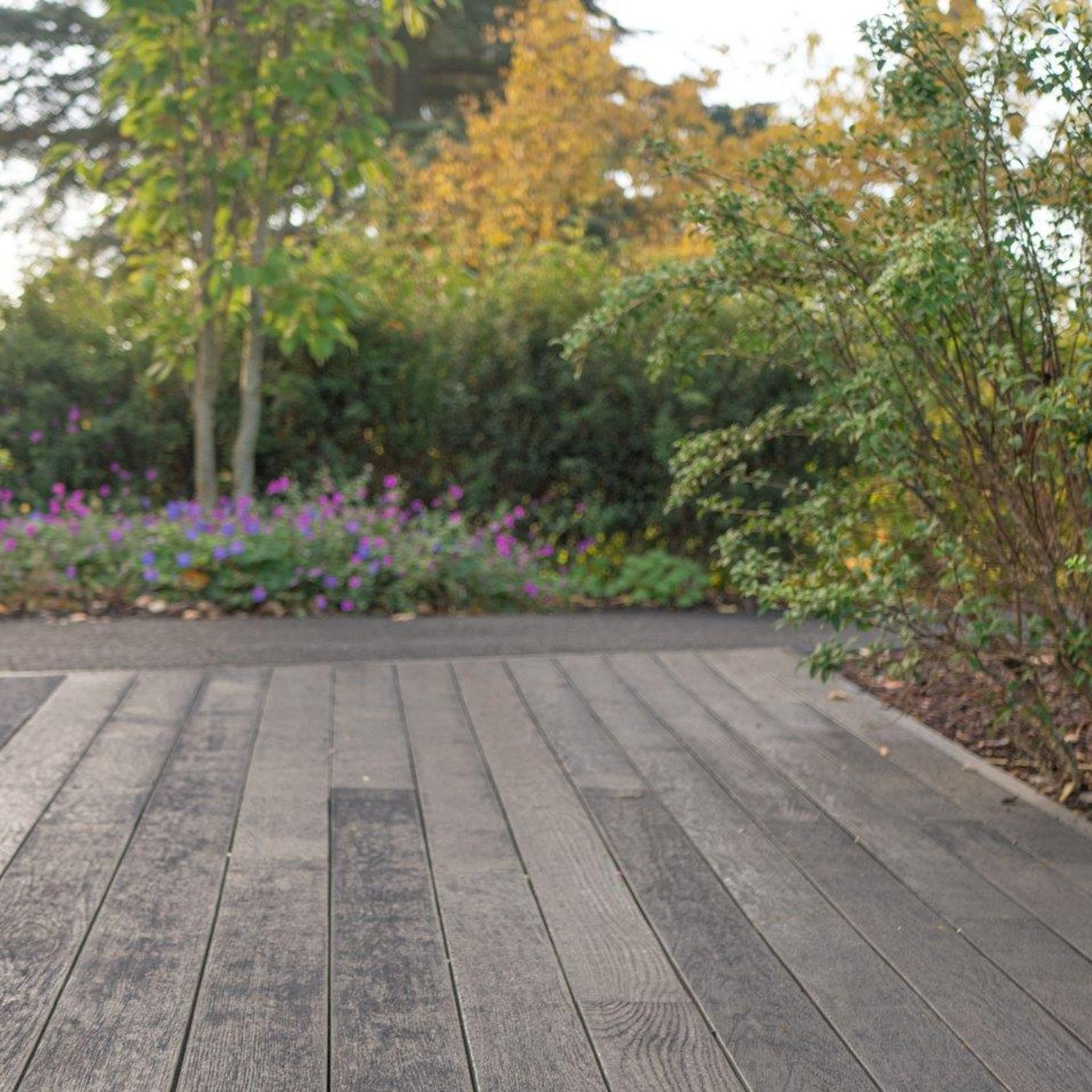 Burnt Cedar | Enhanced Grain Decking gallery detail image