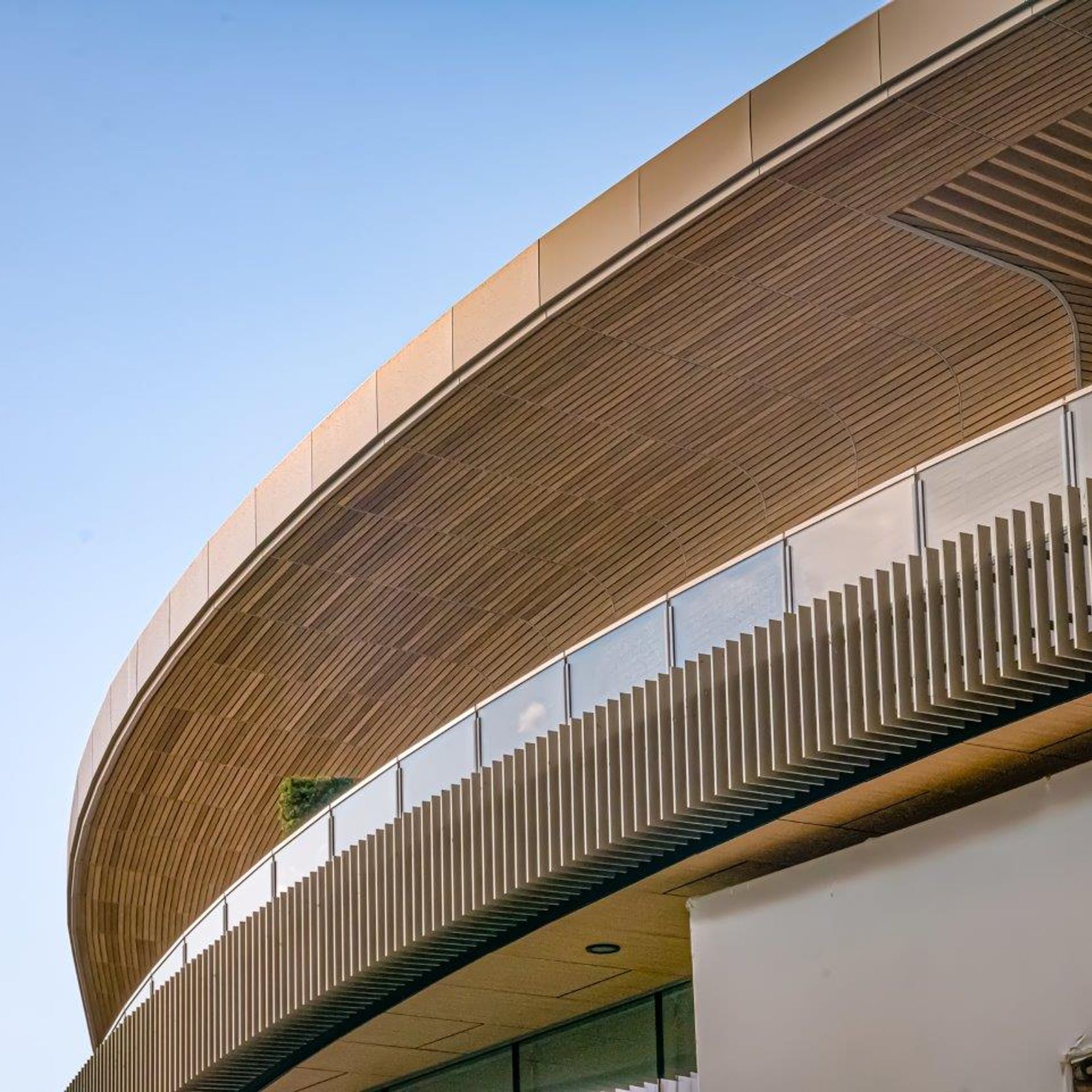 Golden Oak | Enhanced Grain Decking gallery detail image