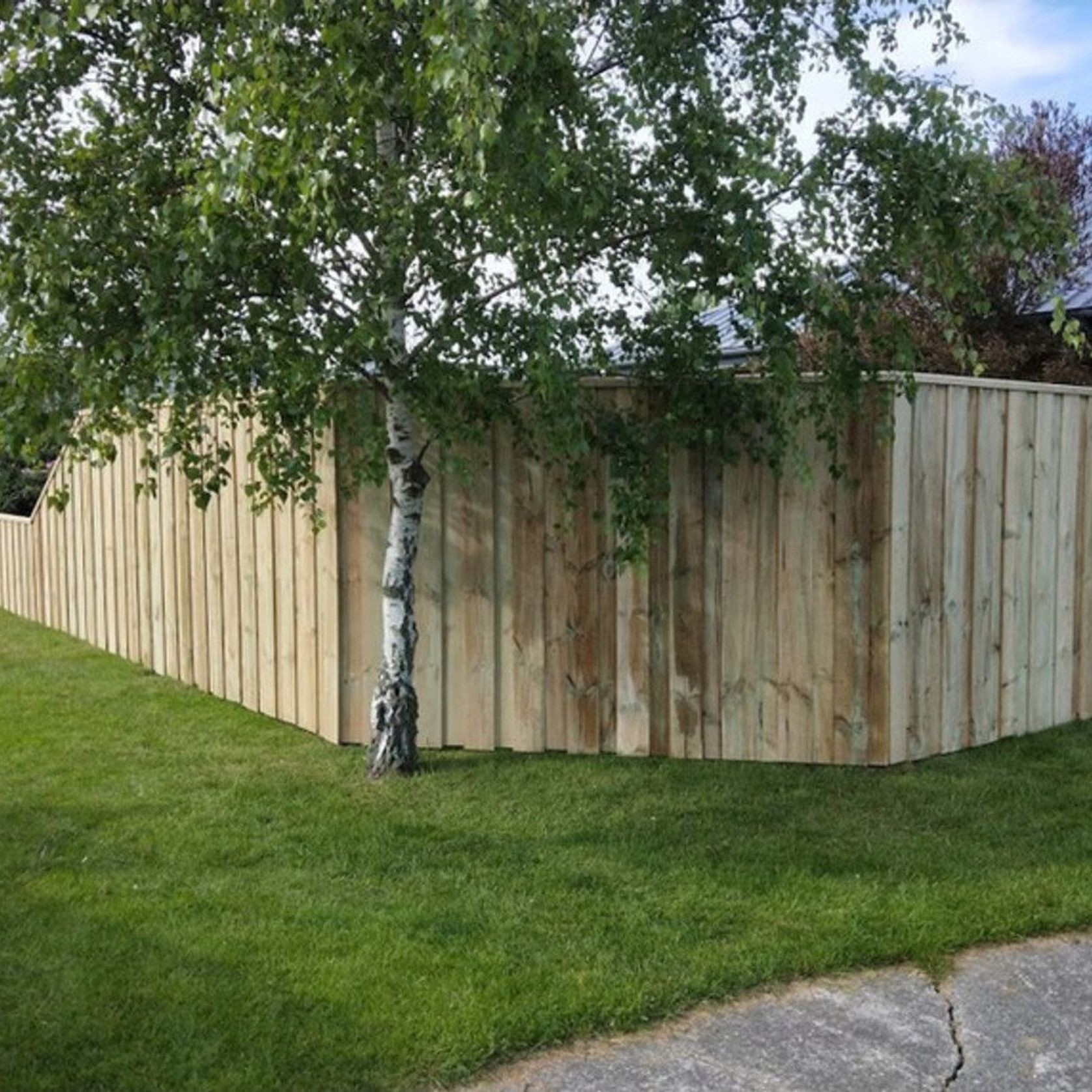 Pergolas & Fencing gallery detail image