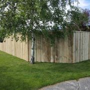 Pergolas & Fencing gallery detail image