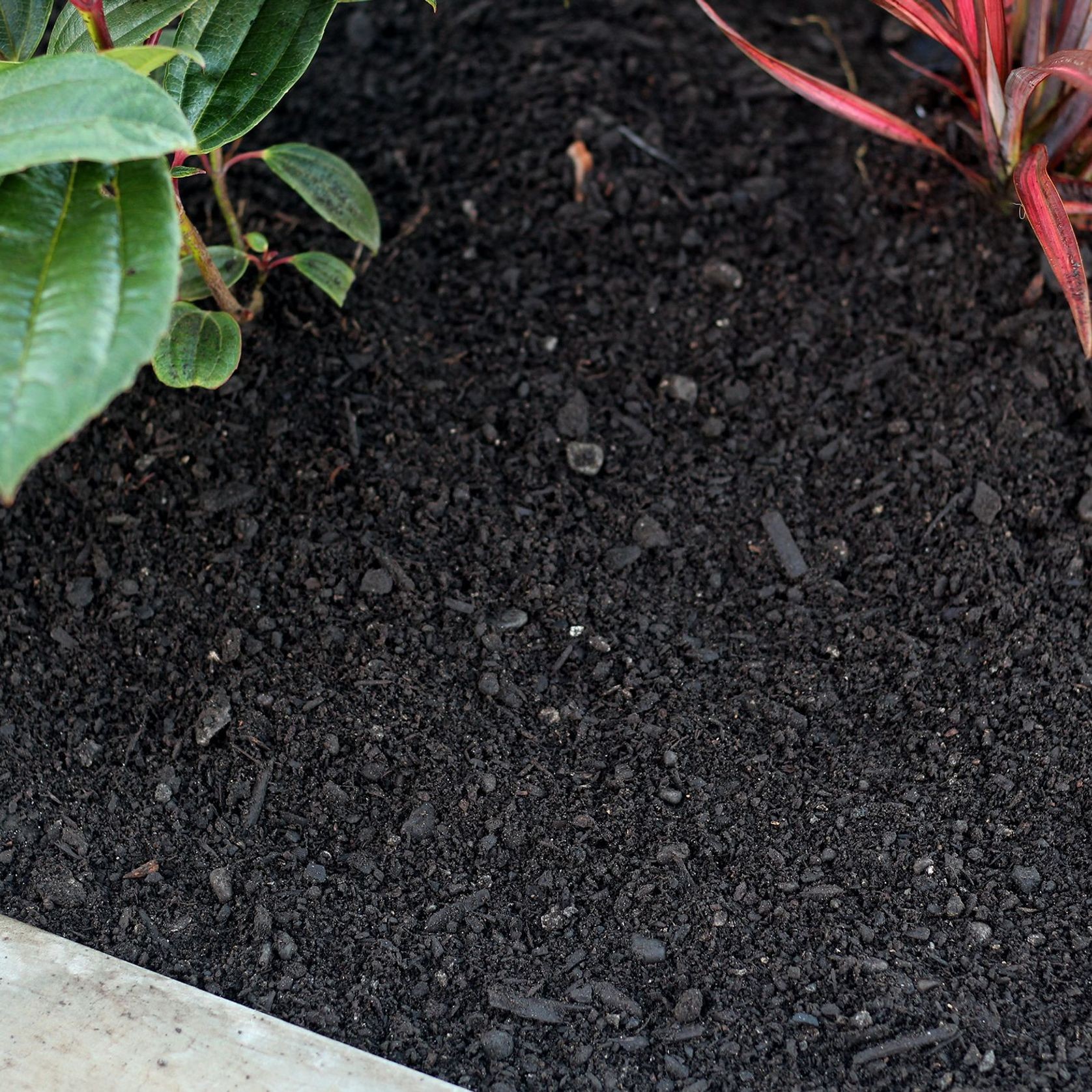 Composts & Soil gallery detail image