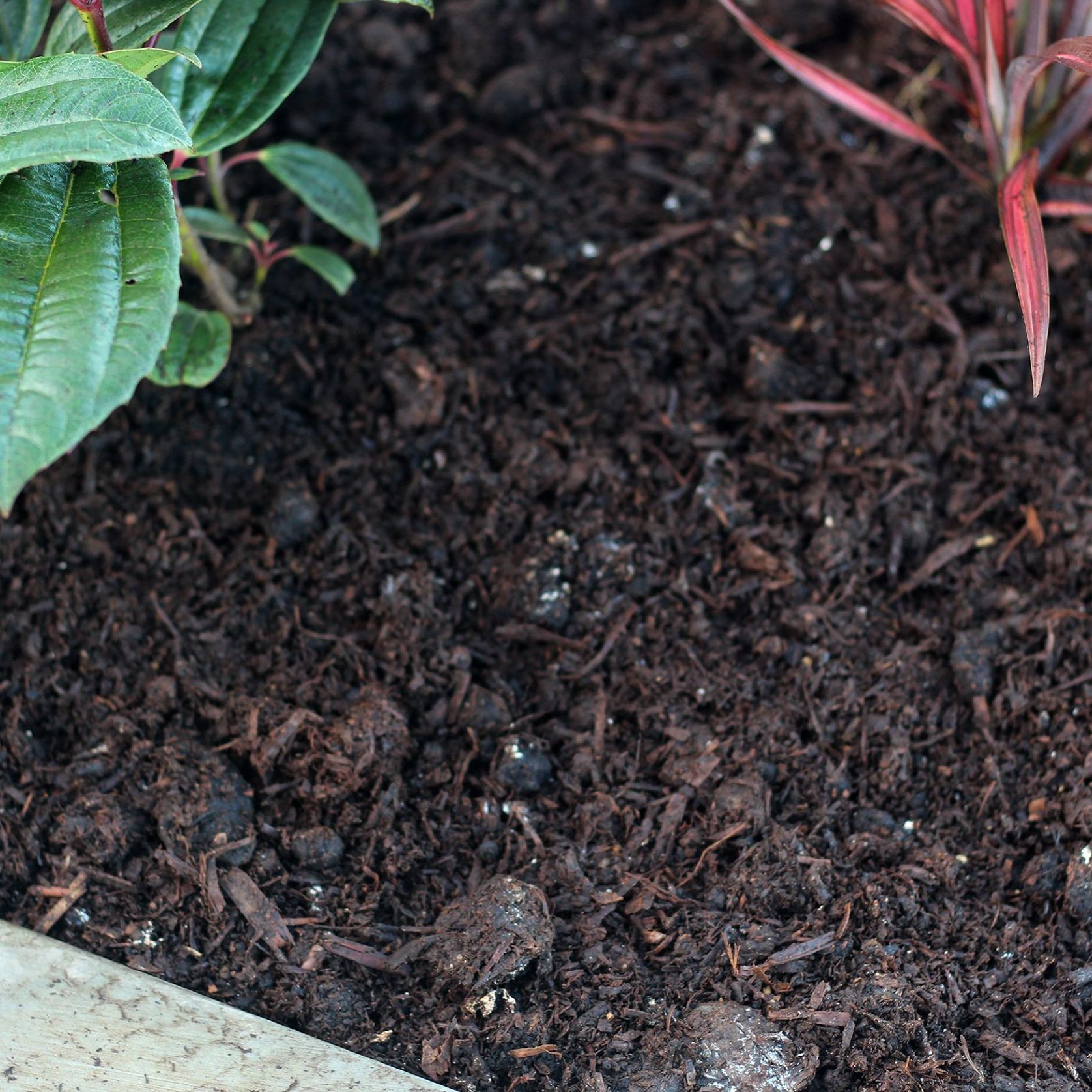Composts & Soil gallery detail image