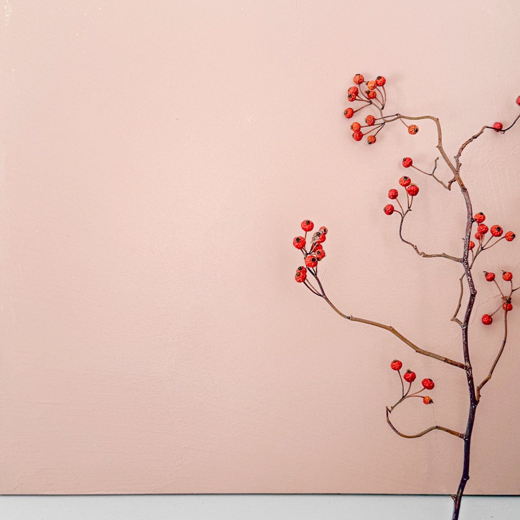 Microsilk Microcement | Corinthian Clay gallery detail image