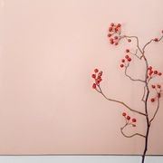 Microsilk Microcement | Corinthian Clay gallery detail image