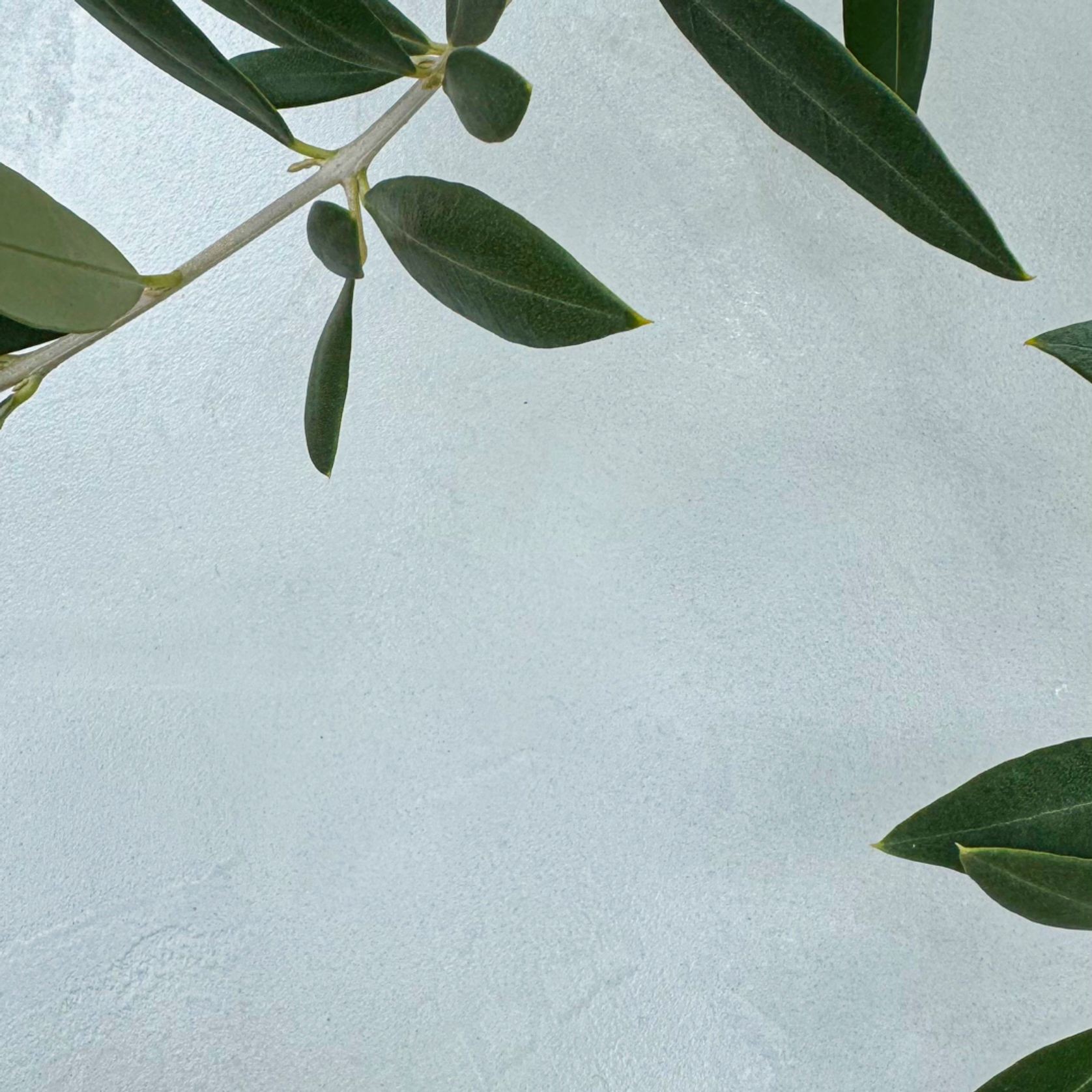 Microsilk Microcement | Apollo Grey gallery detail image