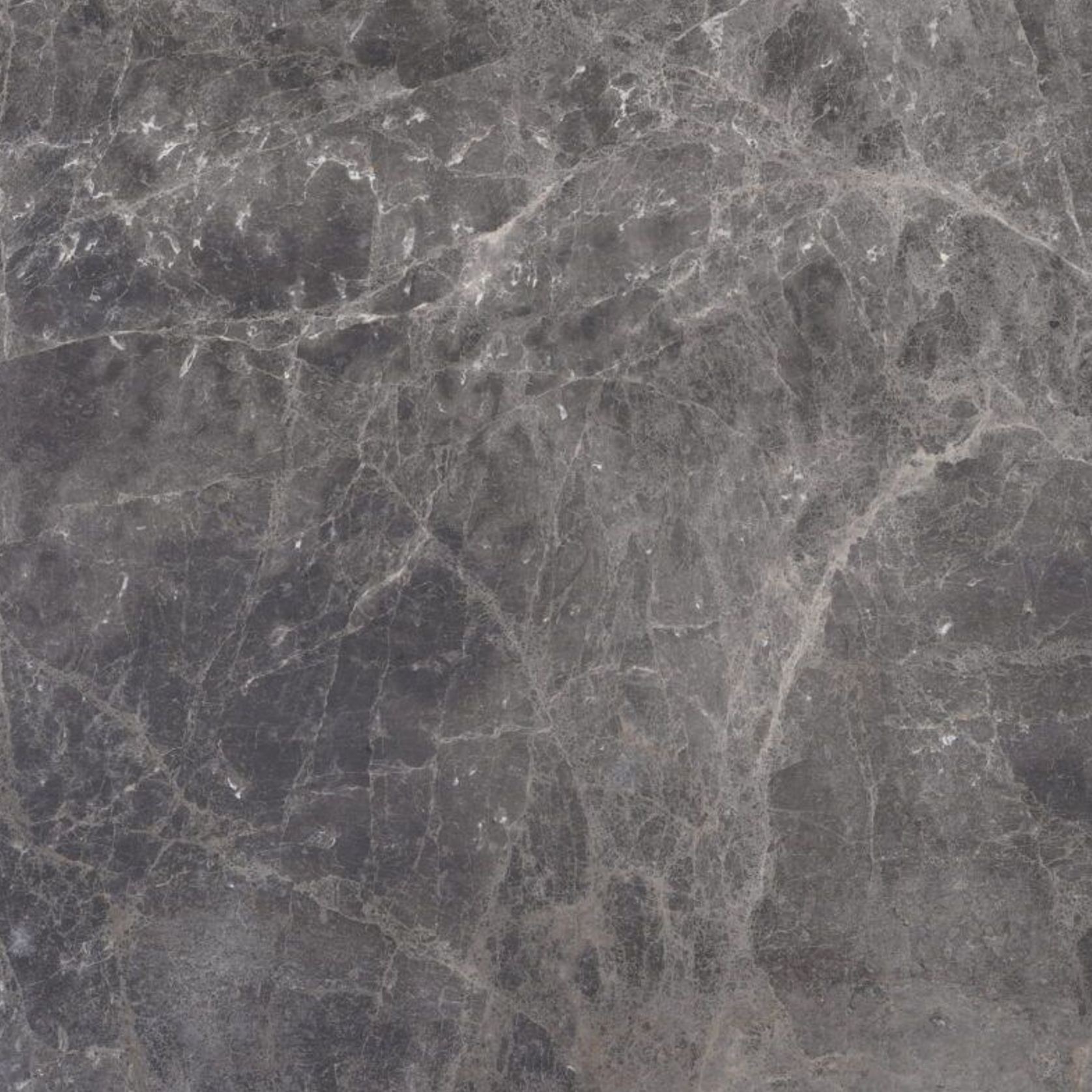Elegant Grey gallery detail image