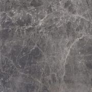 Elegant Grey gallery detail image
