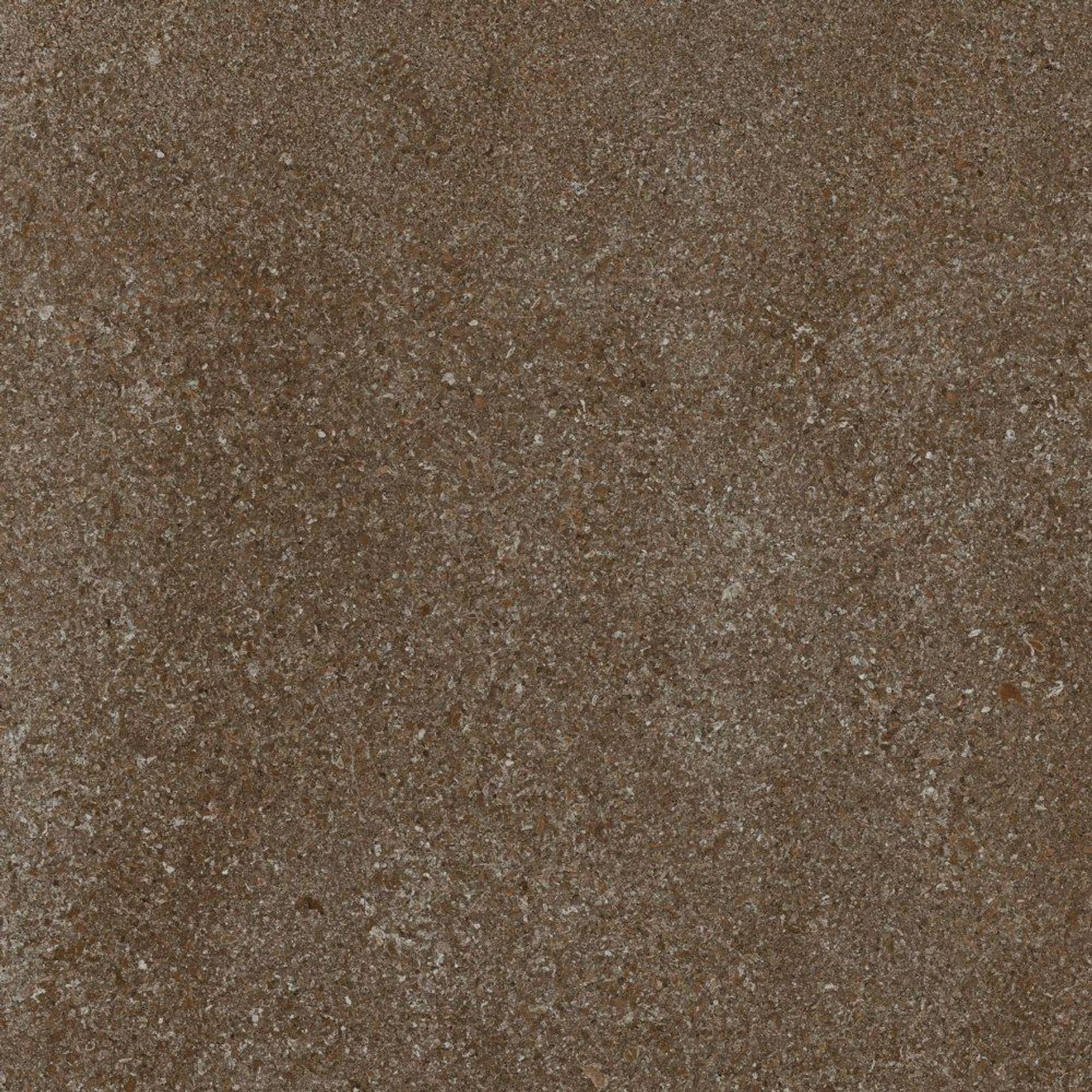 Area Pro | Porcelain Tiles gallery detail image