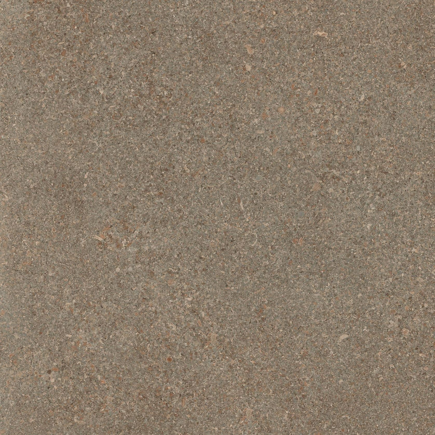 Area Pro | Porcelain Tiles gallery detail image