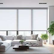 Climate & Comfort Control gallery detail image